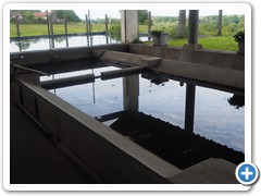 2024-05-25-Lageyrat  (6)