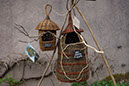 DSC01396