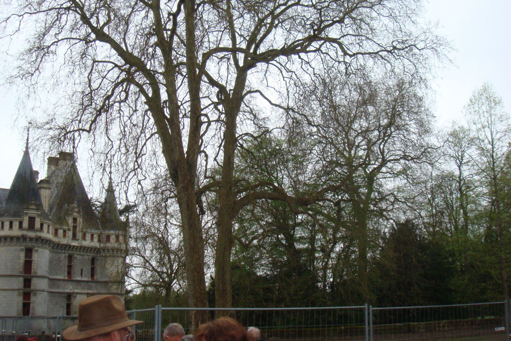 DSC01630