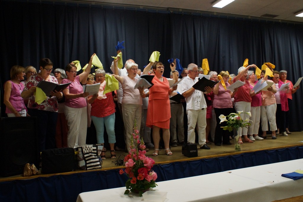 2018-06-03-Chorale-Pipriac-soiree-repas-spectacle-amitie (163).jpg